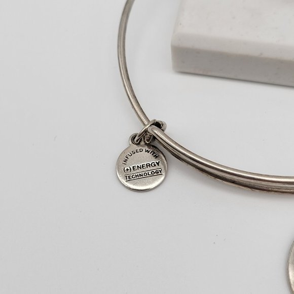 Alex and Ani LOVE Charm Bangle Bracelet Rafaelian Silver Finish - Picture 4 of 5